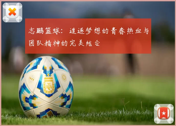 志鹏篮球：追逐梦想的青春热血与团队精神的完美结合